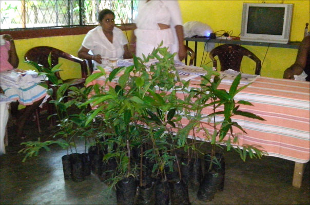 23. අශෝකපුර මිහින්තලය සිරි සුගත දහම් පාසල