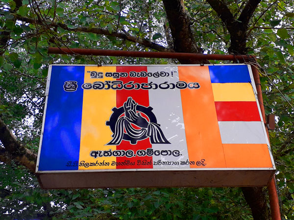 100. ශ්‍රී ගම්පහ ඇත්ගාල බෝධිරාජාරාමය විහාරය | 2019-08-11