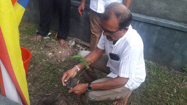 99. ශ්‍රී දිවුලපිටිය බරවිල අභිනවාරාම විහාරය | 2019-08-11